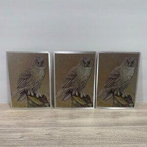 Vintage Dufex Royal Stationery Foil Art Prints Owl Scene Postcards Set of 3